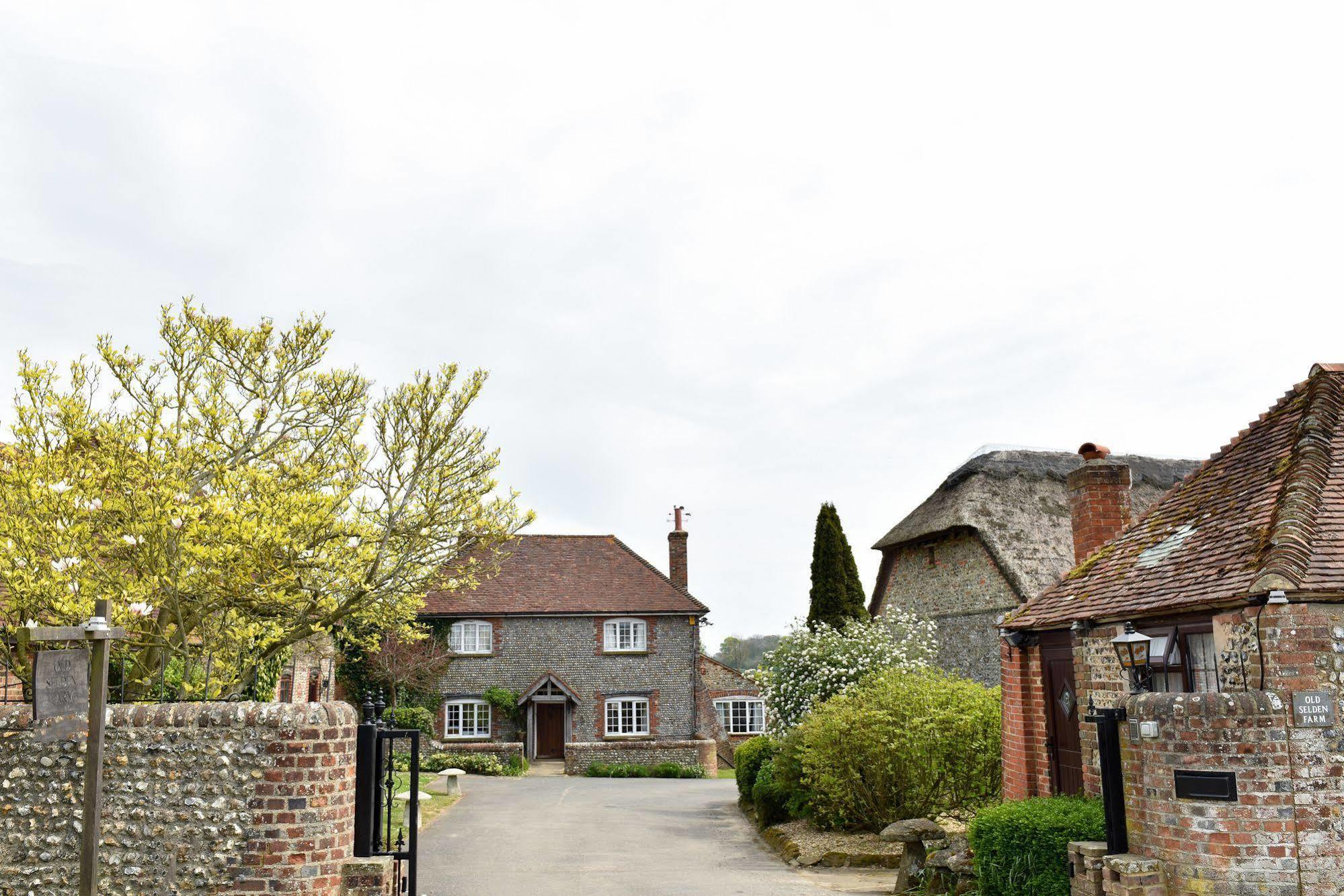 Old Selden Farm B&B Clapham  Eksteriør bilde